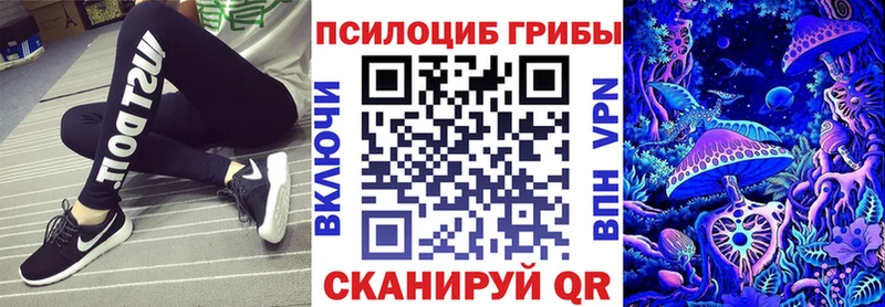 Купить где  Давлеканово  Псилоцибиновые грибы Magic Shrooms 